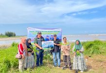 Peringati Hari Lingkungan Hidup Sedunia, Pelindo Regional 2 Bengkulu dan MAPEL Perkuat Sabuk Hijau Berkelanjutan